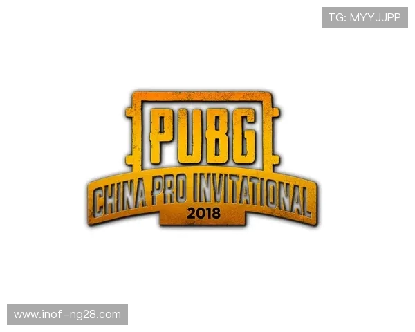 Natus Vincere绝地求生战队崛起之路：从草根到顶级战队的蜕变与荣耀