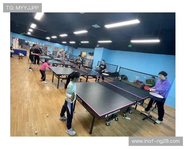 乒乓乐园：挥拍间的快乐时光