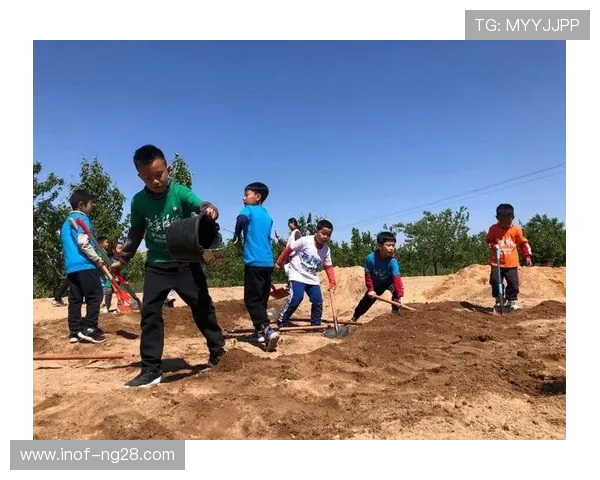 科学健身之道:打造强健体魄与健康生活的全方位指南 科学健身之道:打造强健体魄与健康生活的全方位指南