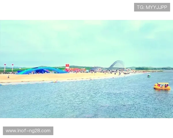 杭州排球队的崛起与发展探索展现排球运动的无限魅力与力量