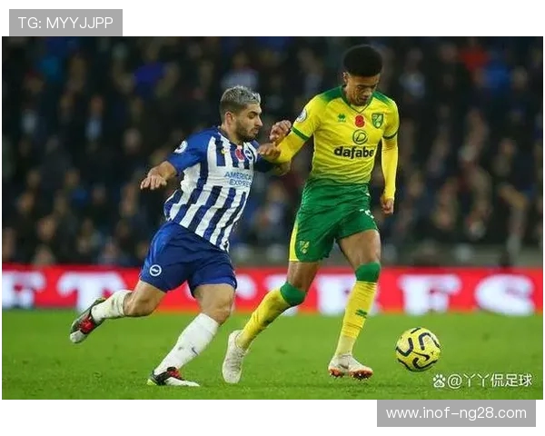 布莱顿与诺维奇对决前瞻分析及比赛结果预测 布莱顿与诺维奇对决前瞻分析及比赛结果预测